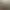 Accent Image